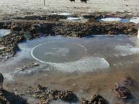 Newly posted Photo of the ICE CIRCLE found at the Bigelow Ranch