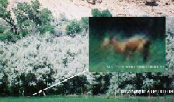 The RANCH RECON 2003 Report